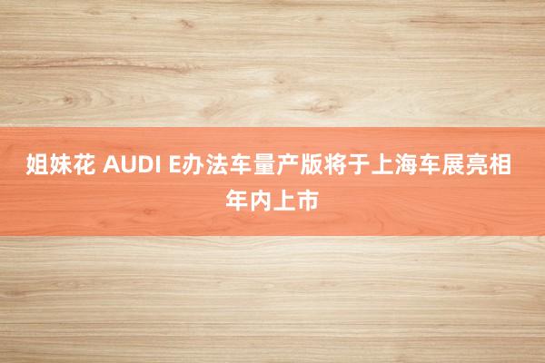 姐妹花 AUDI E办法车量产版将于上海车展亮相 年内上市