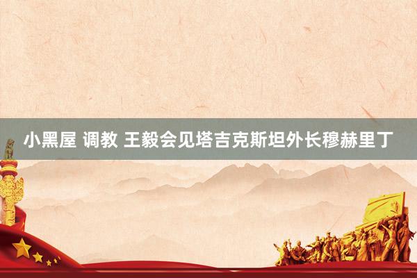 小黑屋 调教 王毅会见塔吉克斯坦外长穆赫里丁
